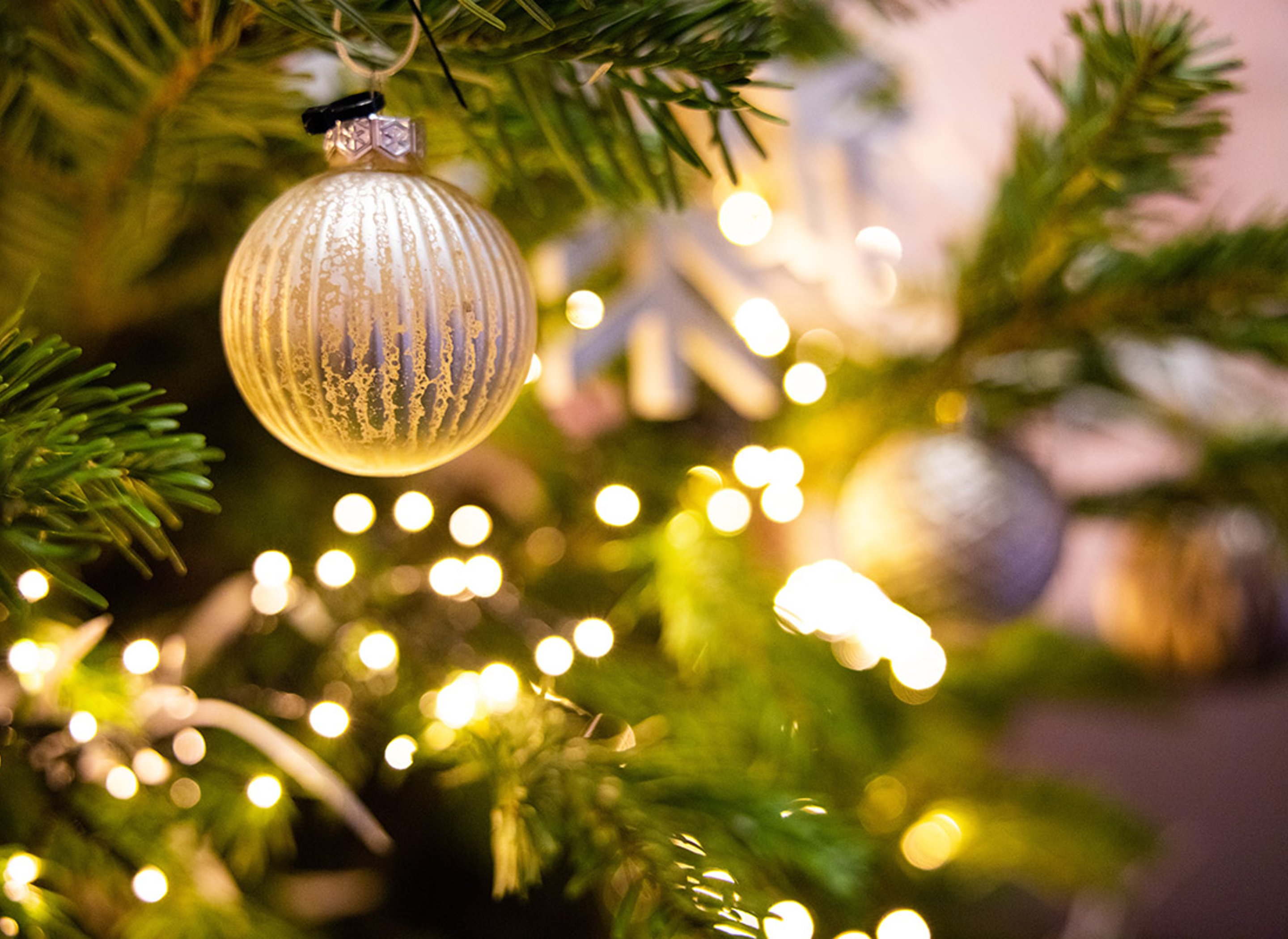 Silver decorations on a fir Christmas tree