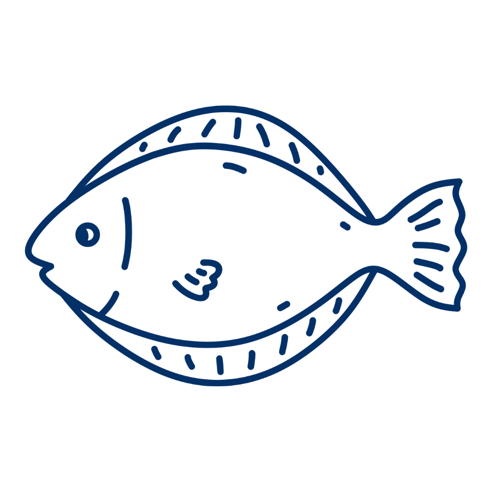 An icon of a Dover sole
